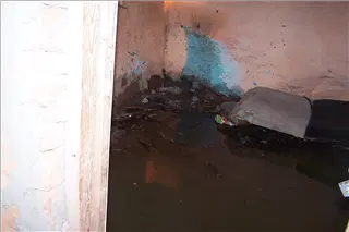 small_reeses 024.webp